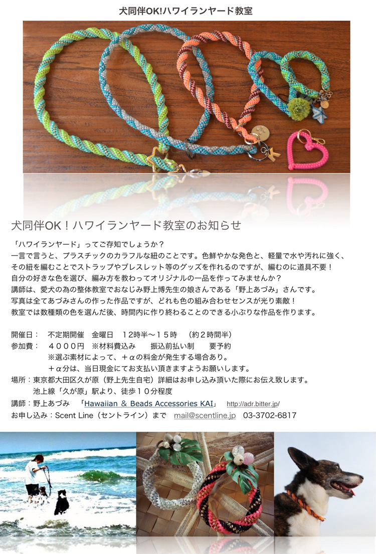 ハワイランヤード教室のお知らせ_c0099133_2050016.jpg