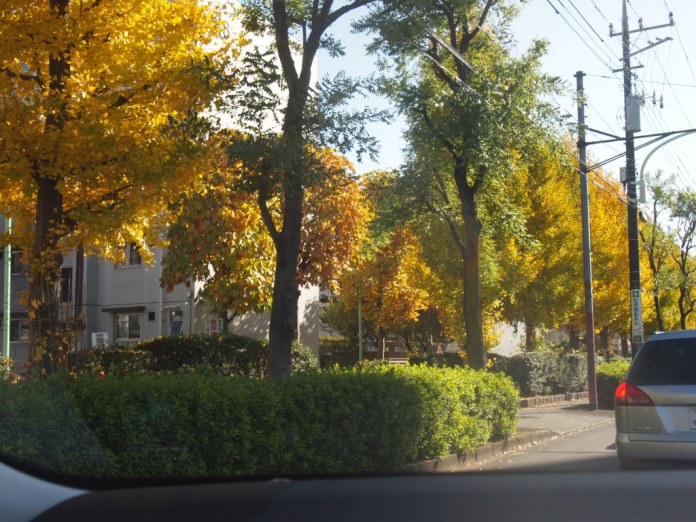 c0152341_0185411.jpg
