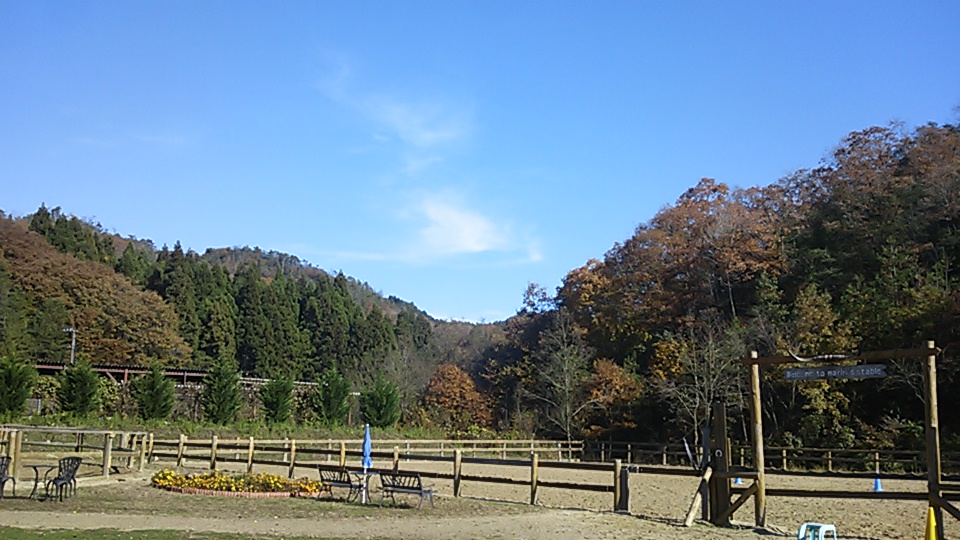 e0145441_882511.jpg