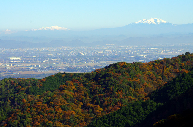 d0186245_310319.jpg