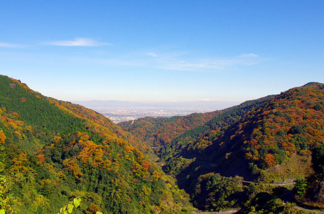 d0186245_39425.jpg
