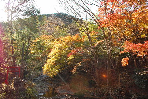 群馬で紅葉♪_a0175348_7315622.jpg