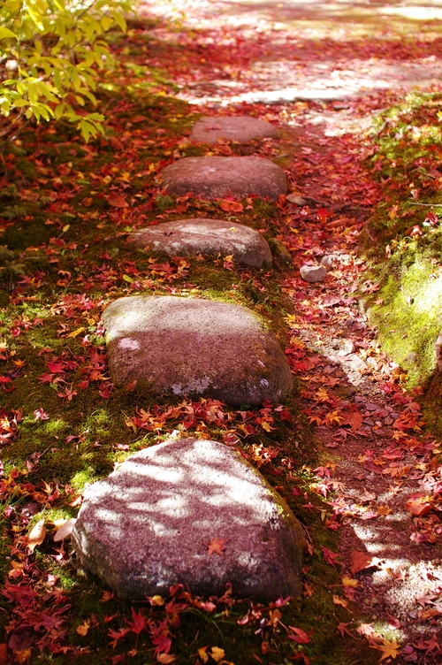 a0299749_20122264.jpg