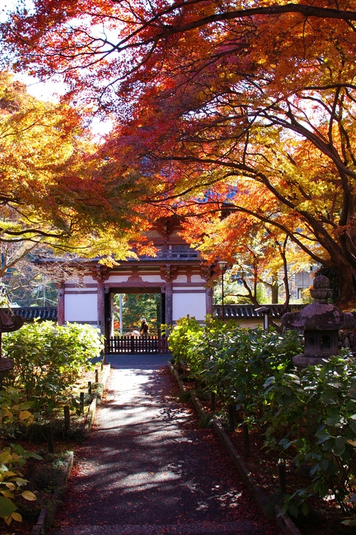 久安寺の紅葉_a0299749_2026447.jpg