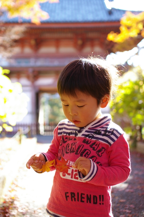 久安寺の紅葉_a0299749_20271529.jpg