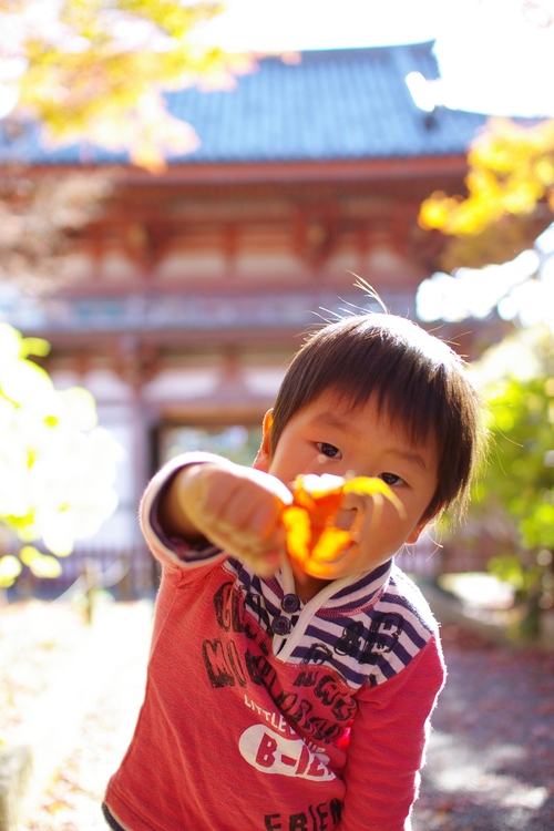 久安寺の紅葉_a0299749_20272852.jpg