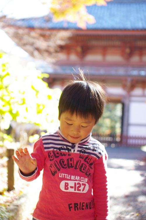 久安寺の紅葉_a0299749_20274738.jpg