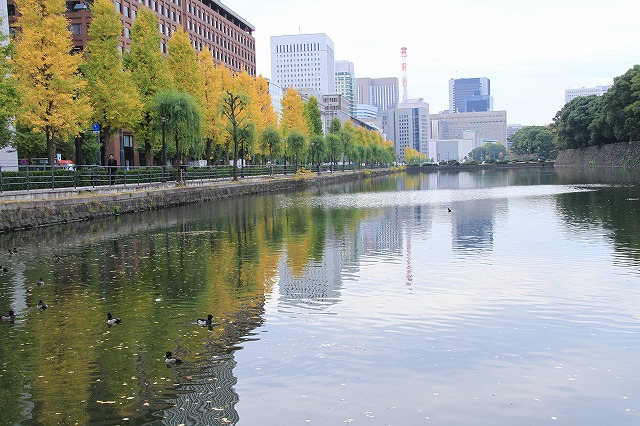 東京の風景いろいろ_c0155950_2319473.jpg