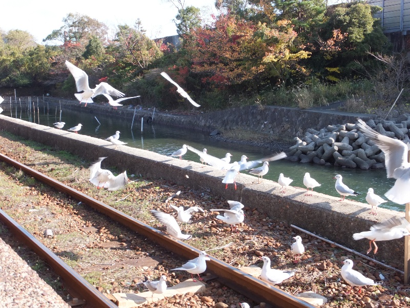 天竜浜名湖鉄道　佐久米駅_f0091250_12174217.jpg