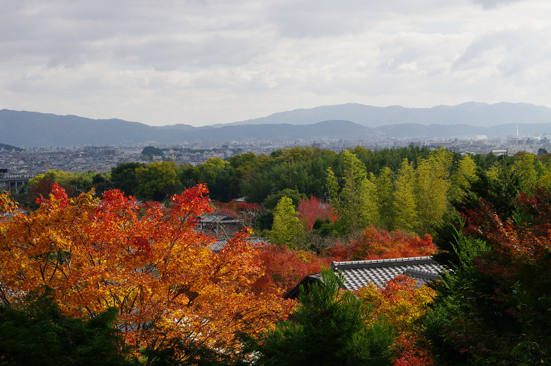 f0152550_21125270.jpg