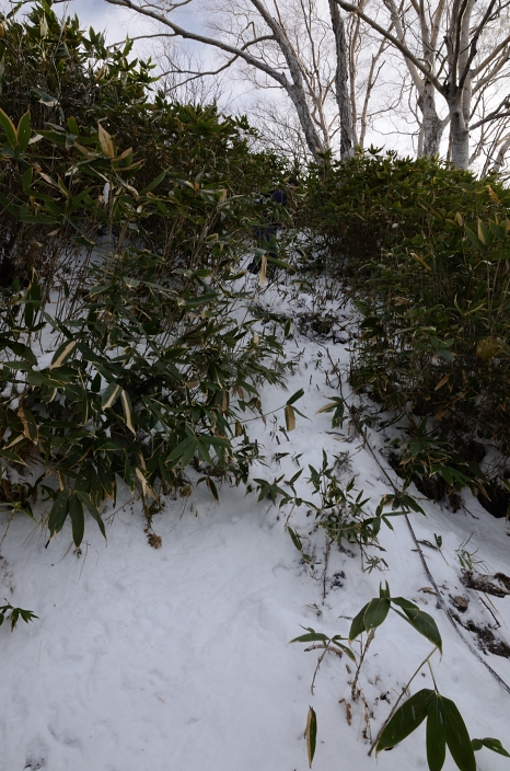 20121104 クズバ山 富山県中新川郡上市町 6/6_a0263952_1924921.jpg