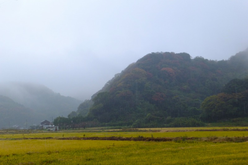 雨の南知多_c0238352_21495322.jpg