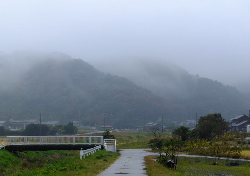 雨の南知多_c0238352_21501945.jpg