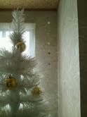 a0256354_20174610.png