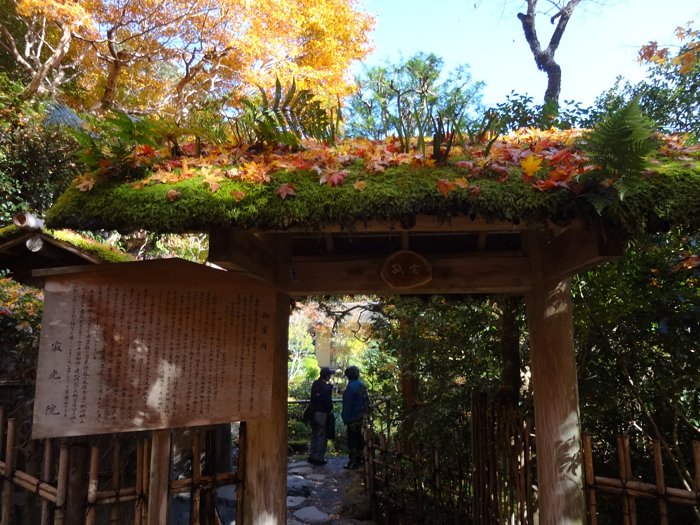 紅葉の大阪～京都_c0196754_23264073.jpg