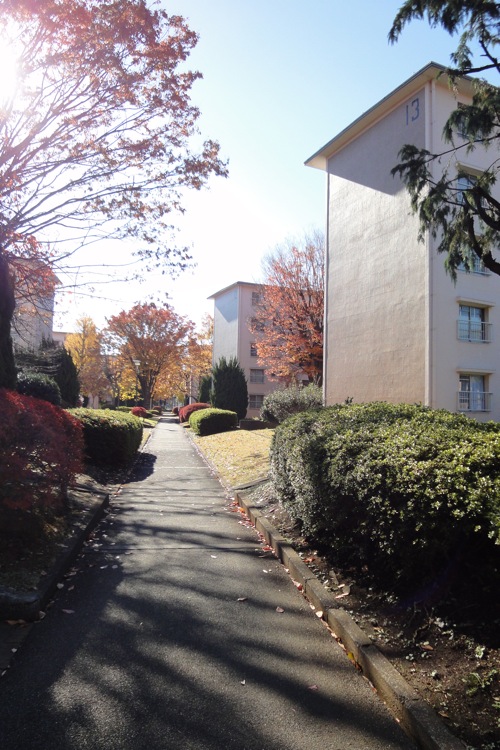 f0054859_21283529.jpg
