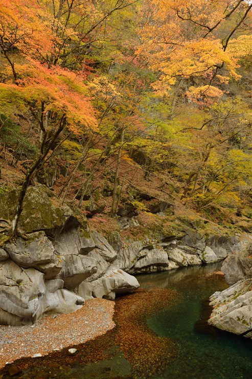 奥秩父 中津峡 持桶女郎もみじ 3 ~紅葉~_f0222161_10545227.jpg