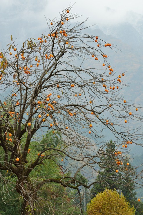 f0222161_11392663.jpg
