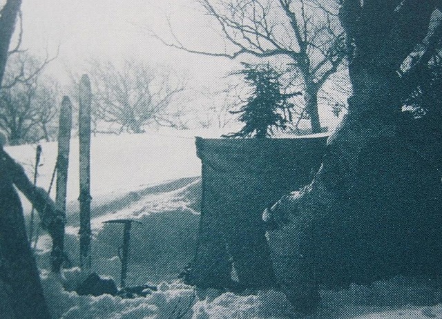 c0219866_13355087.jpg