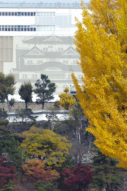姫路城の紅葉--2--20121122_a0050572_19214144.jpg