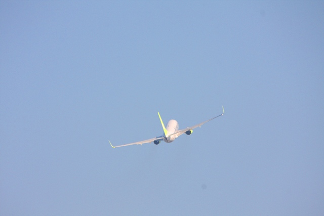 a0299975_16243653.jpg