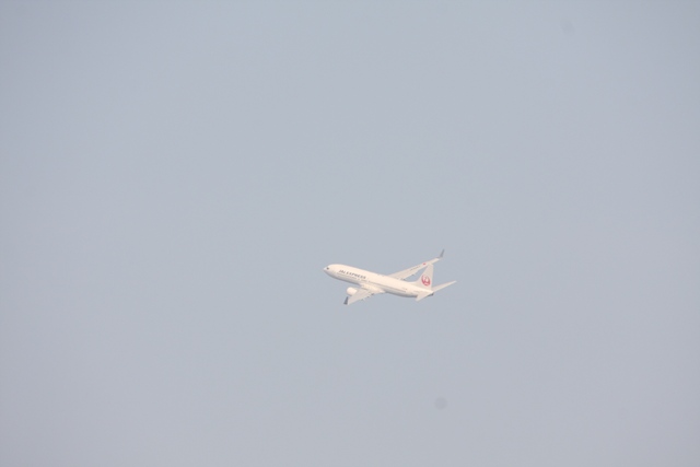 a0299975_16411587.jpg