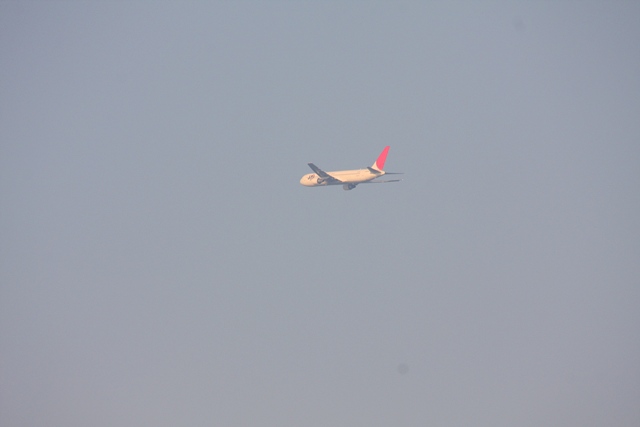 a0299975_16513522.jpg