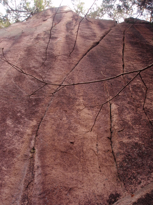 f0223480_203485.jpg