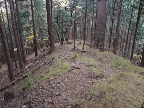 外山の騎馬太子とか_c0051781_22313460.jpg