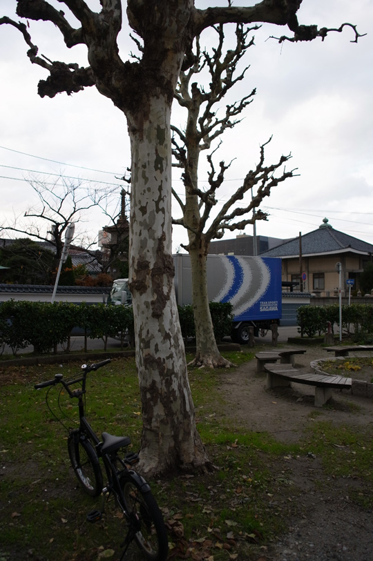 首の皮_e0082981_22102130.jpg