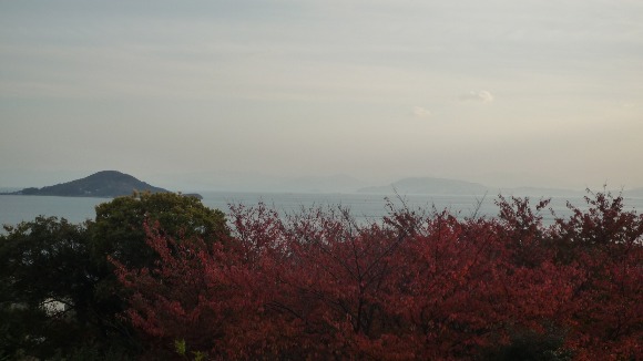 a0278382_14345878.jpg