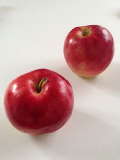 c0204383_237218.jpg