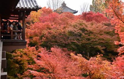 紅葉が始まる少し前....平日の石見銀山をカメラスケッチした分やら..._b0194185_2316155.jpg