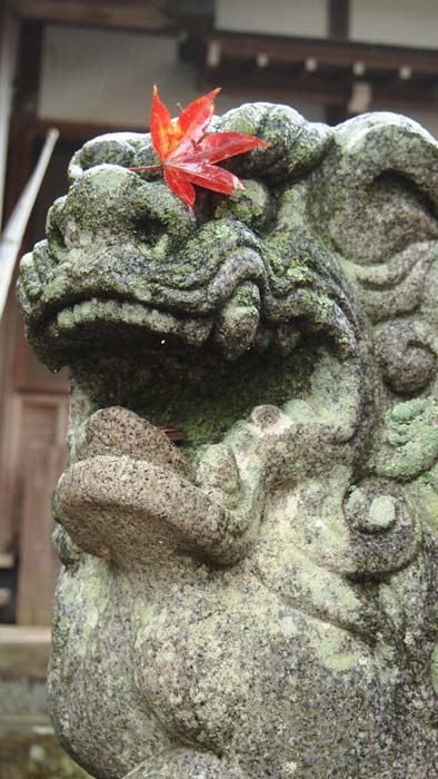 c0177785_17481130.jpg