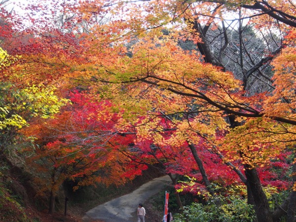 清水寺（福岡県みやま市） 2012.11.25 　No.2_a0149488_9305039.jpg