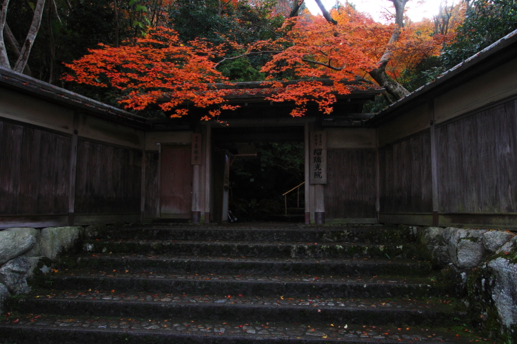 瑠璃光院_e0051888_21333390.jpg