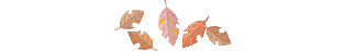 b0286989_1132259.gif