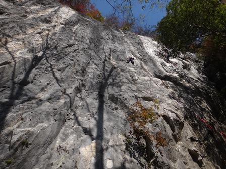 c0018489_23543478.jpg