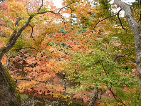 北野天満宮・御土居の紅葉_f0194690_14555561.jpg