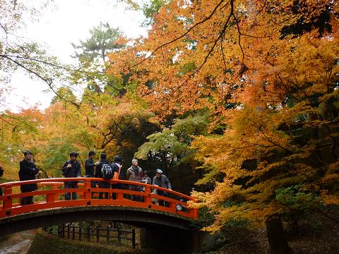 北野天満宮・御土居の紅葉_f0194690_14563489.jpg