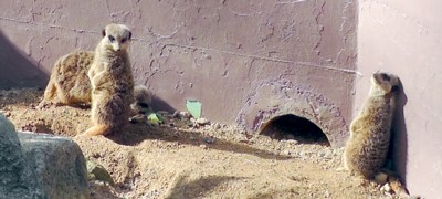 b0035391_22582790.jpg