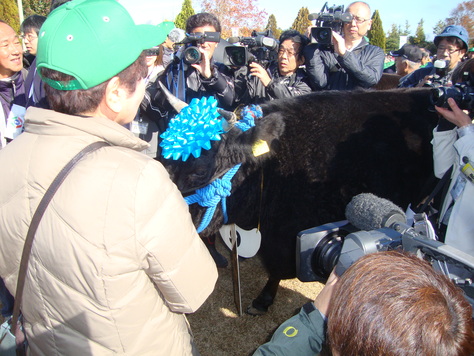 2012年松阪牛の競り_b0187591_11222898.jpg
