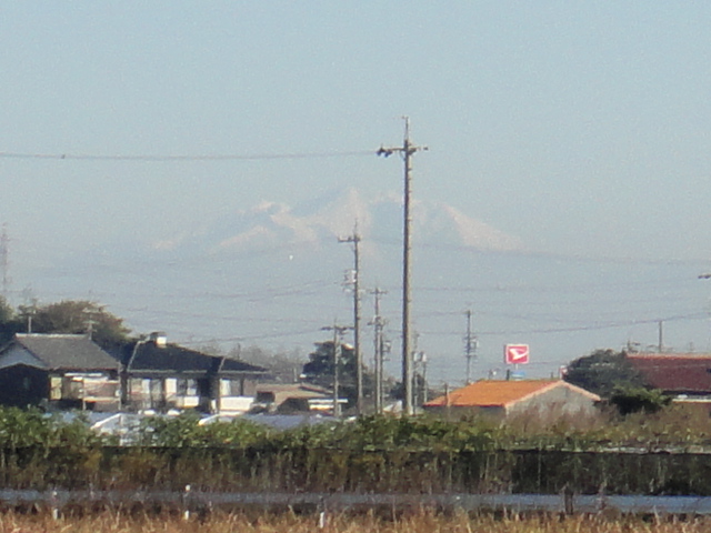 a0275492_35236.jpg