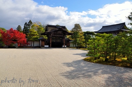 京を歩く～洛西「仁和寺」書院から望む五重塔_b0155692_1948341.jpg