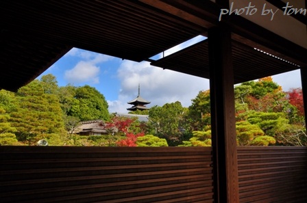 京を歩く～洛西「仁和寺」書院から望む五重塔_b0155692_21164097.jpg