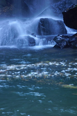 e0176993_734898.jpg