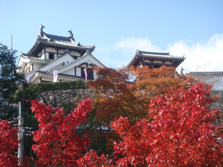 紅葉の福知山城・福知山市展入賞作品展・ゆらのガーデン_f0237893_215563.jpg