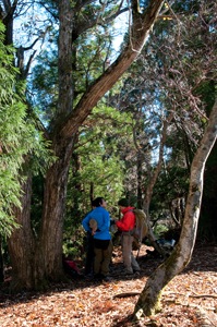 b0208494_23401160.jpg