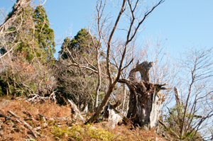 b0208494_23421613.jpg