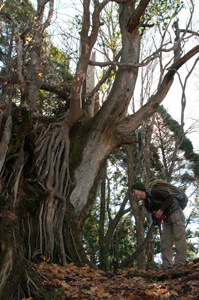 芦生の森へ_b0208494_234277.jpg